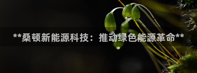 sunbething怎么读