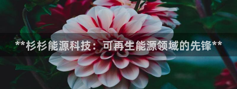 sunbet官网手机版