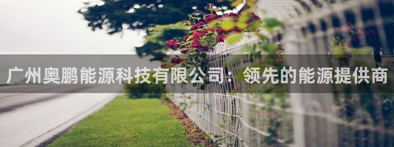 sunbet手机版官网下载