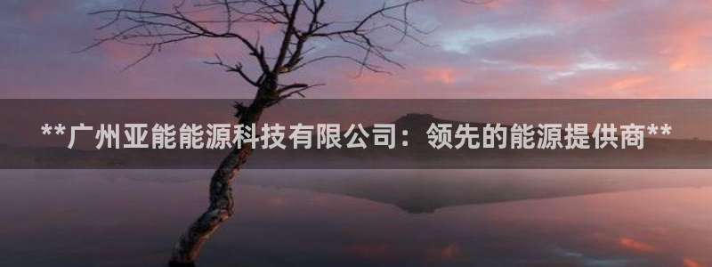sunbet最新消息
