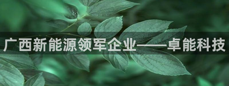 sunbet手机版官网下载