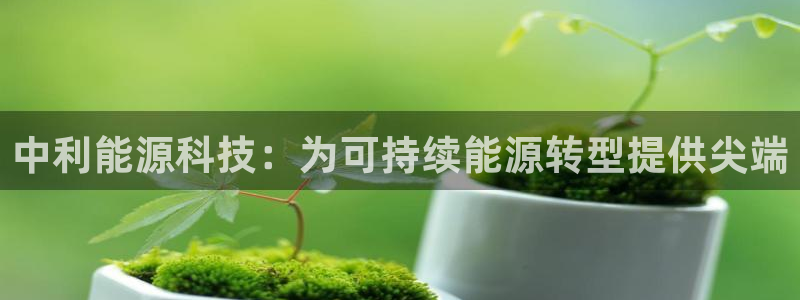 sunbet手机版官网下载