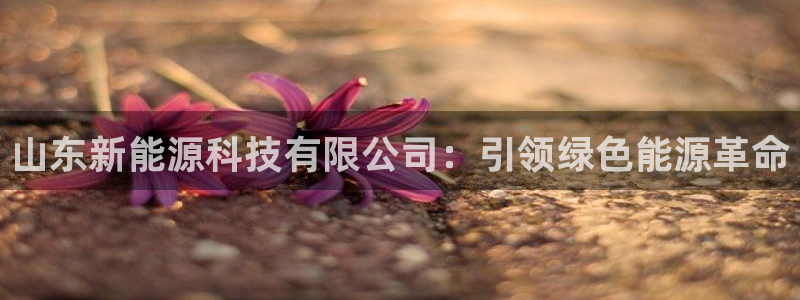 sunbet英语翻译