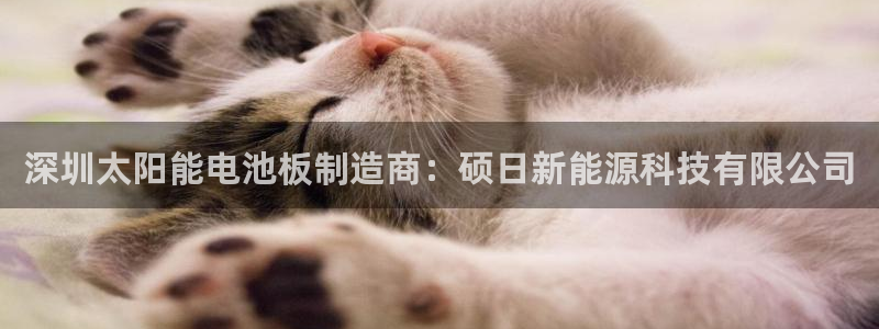 申博官网电脑版下载