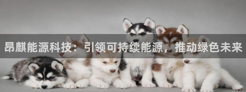 申博视讯