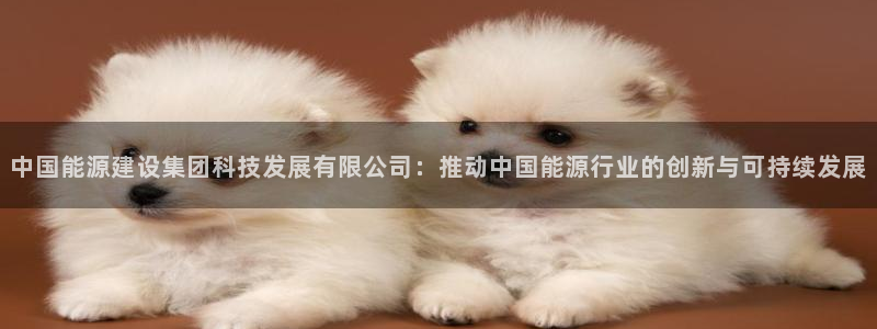 下载申搏sunbet并安装app