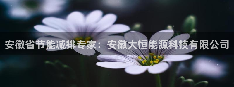 申博官方网站手机版下载