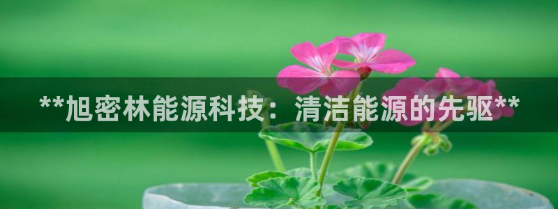 sunbet官网代理下载