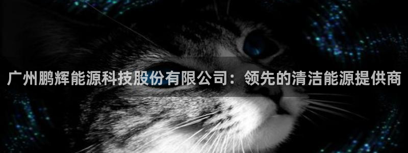 sunbet燃气灶