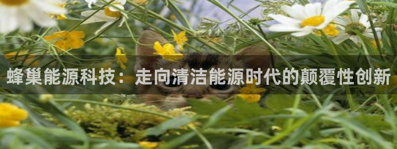sunbet手机网页版