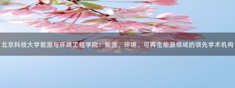 sunbet最新登陆
