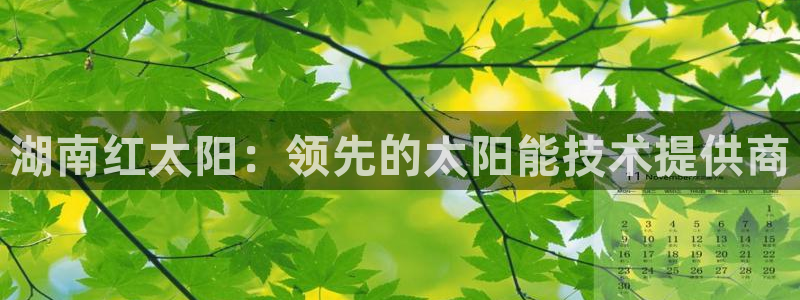 申博官方网站