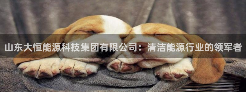 sunbet源码