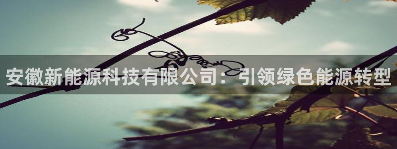 申博手机版官网