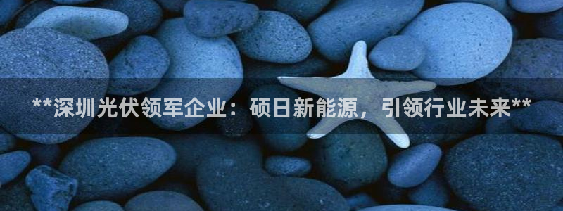 申博视讯
