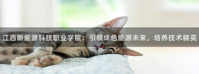 申博app下载