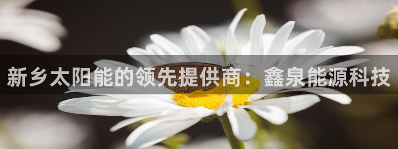 sunbething怎么读