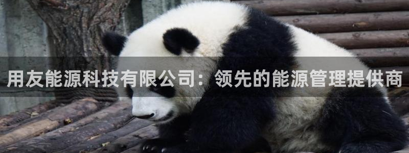 sunbet游戏网