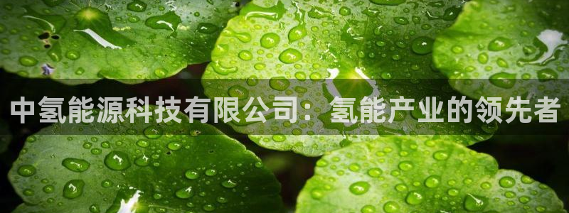 sunbet手机网页版