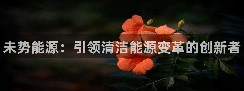 sunbet官网手机版