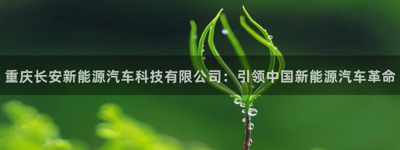 sunbet苹果官网下载