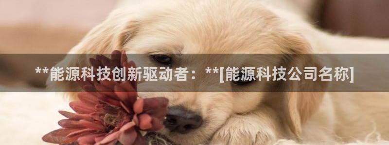 申慱sunbet版app
