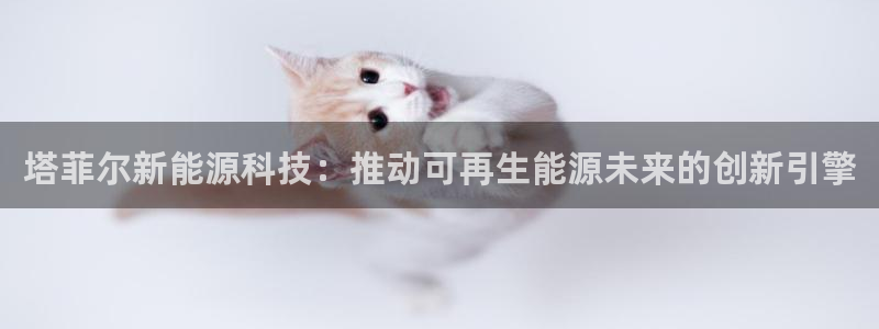 申慱sunbet手机版登