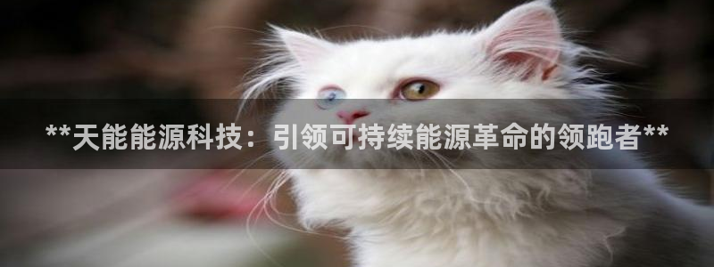 sunbet官网app首页