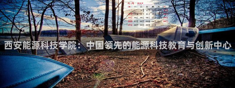 sunbet手机网页版本