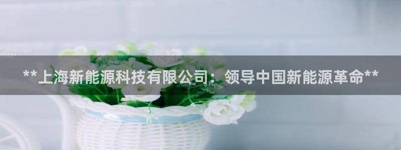 sunbet源码