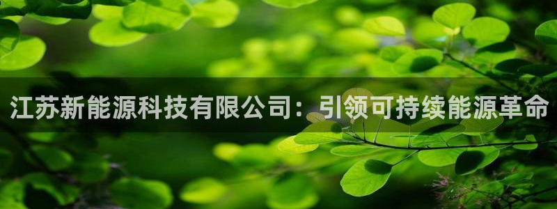 sunbet安卓下载