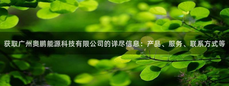 sunbet最新登陆