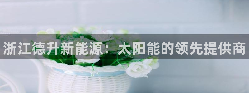 sunbet官网手机版登录