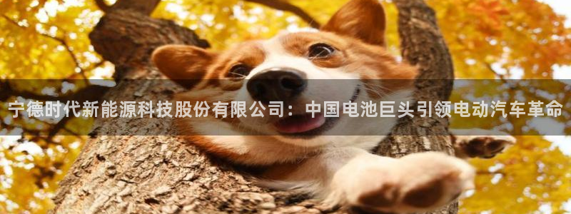 sunbet程序