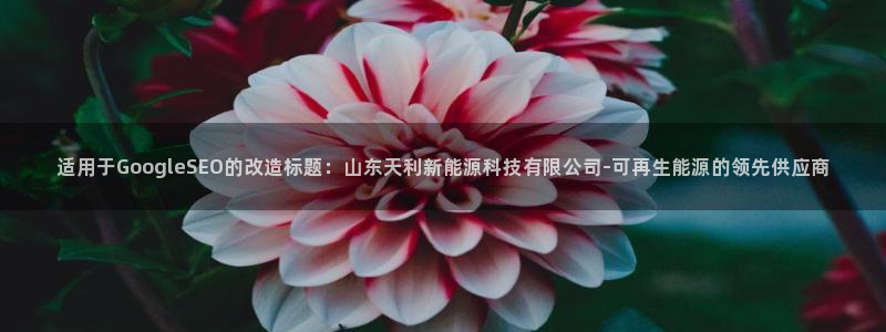 sunbet官网app首页
