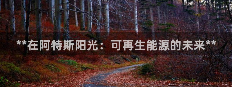 sunbething怎么读