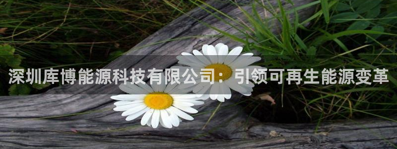 进入sunbet官网手机版登陆