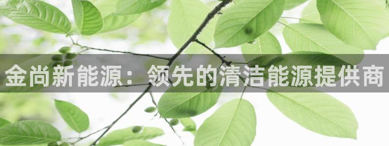 sunbet手机端