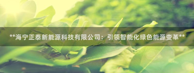 sunbet安卓下载