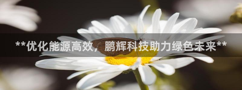 sunbet首页登录入口