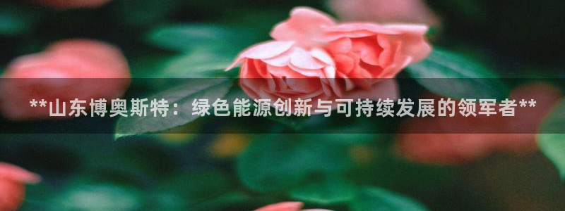 申博官方网站手机版下载