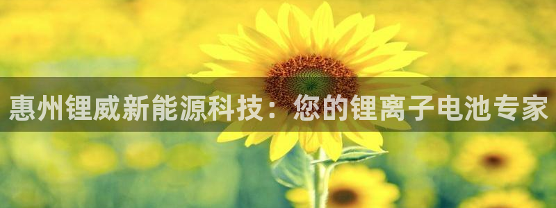 sunbet官网手机版登录