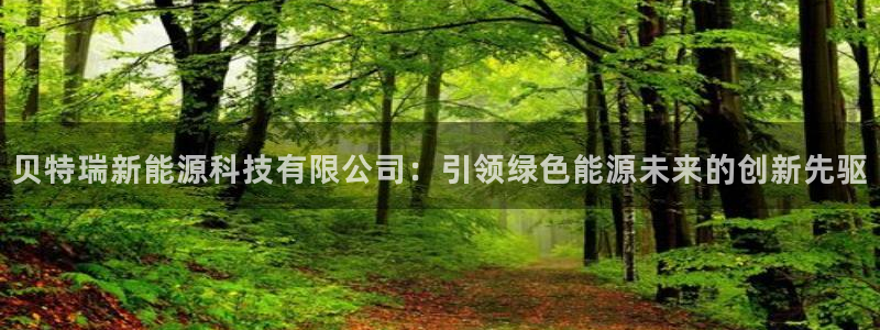 sunbet手机网页版本