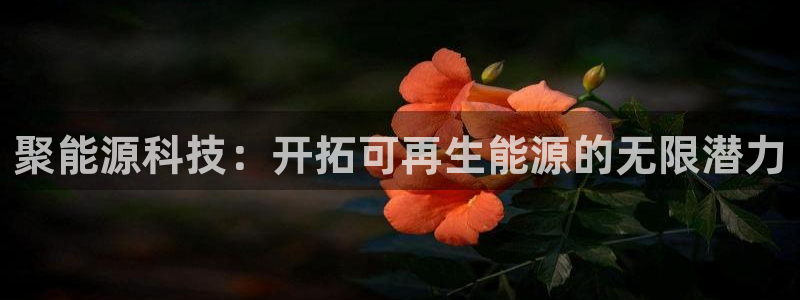 sunbet首页登录入口