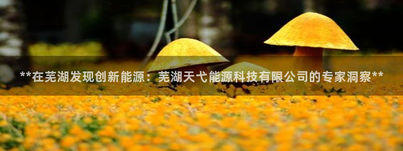 sunbet游戏网
