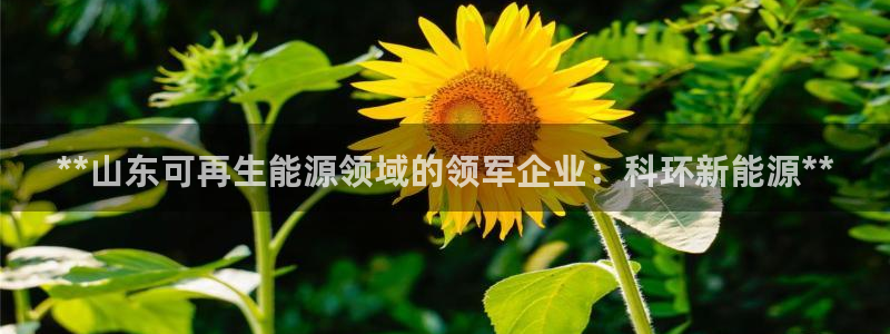 sunbet官网登录首页