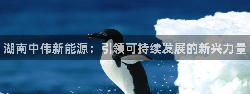 sunbet中文
