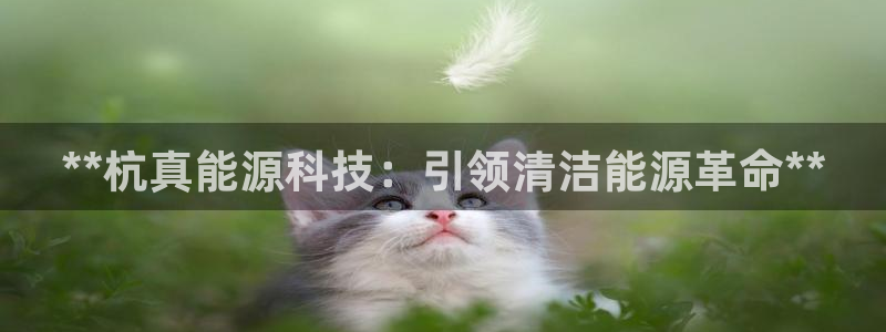sunbet手机版登录