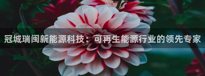 sunbet官网登录首页