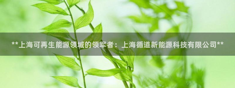申博官网电脑版下载